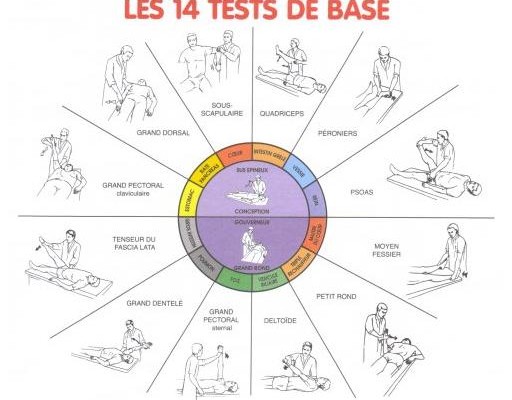 14 tests musculaires
